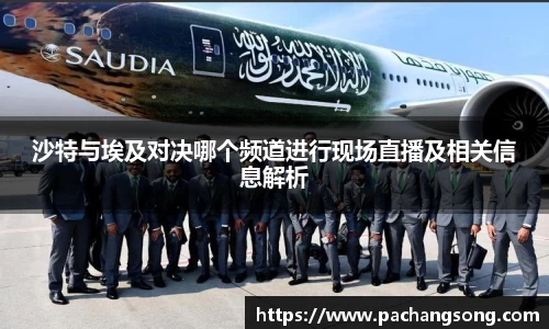 沙特与埃及对决哪个频道进行现场直播及相关信息解析