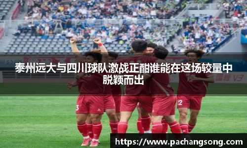 泰州远大与四川球队激战正酣谁能在这场较量中脱颖而出