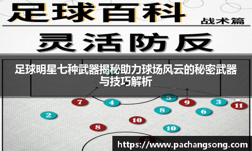 足球明星七种武器揭秘助力球场风云的秘密武器与技巧解析