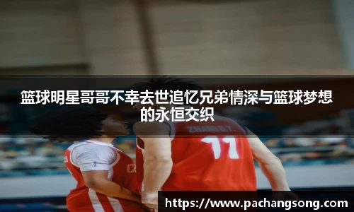 bsport必一官方网站